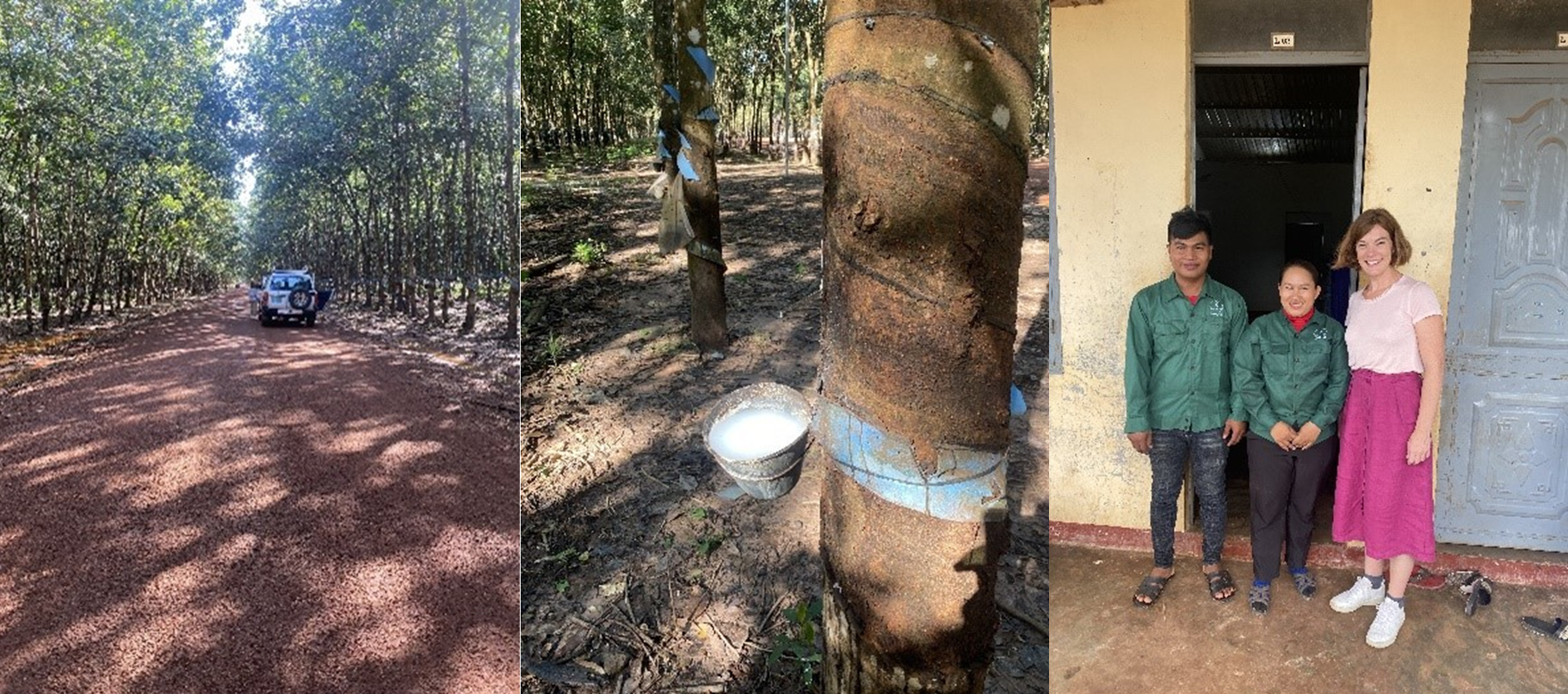 Project Update – Insights from the Ground Up: Gender Equality and Responsible Agriculture Investment in Cambodia’s Rubber Sector