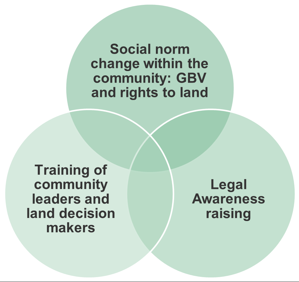 GSI Action Plan set of reinforcing interventions to support change: Social norm change within the community (GBV and rights to land); Training of community leaders and land decision makers; Legal awareness raising